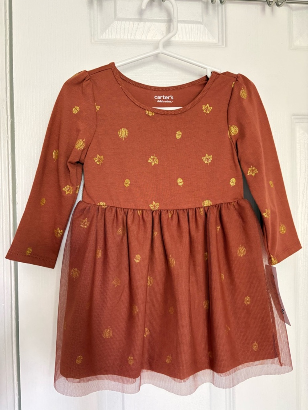 Carter's Rust Dress with Gold Leaf Accents